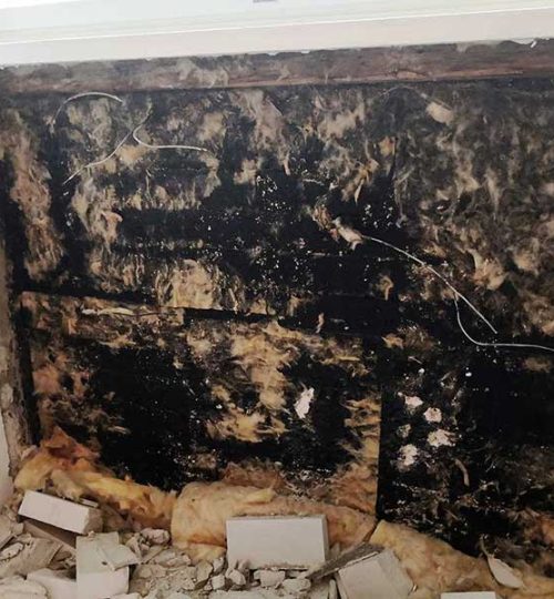 Kodrem - Ammattimainen homeenpoisto ja rakenteiden puhdistus. Porvoo Uusimaa